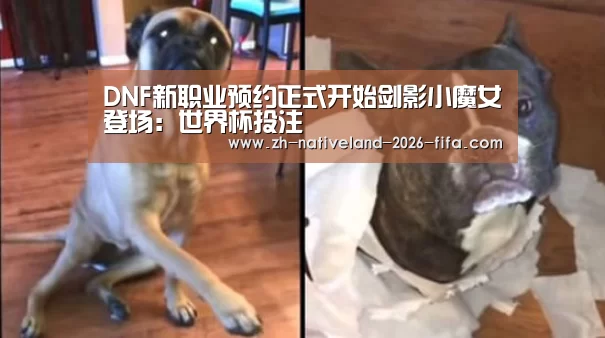 DNF新职业预约正式开始剑影小魔女登场:世界杯投注(图4) 世界杯投注